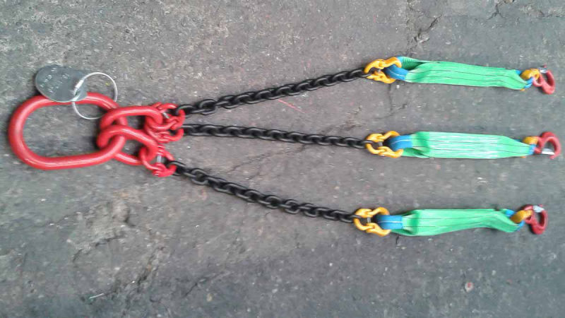 Chain bridle for specialised ships 